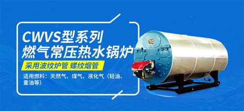 渭南帶有專用消聲器的鍋爐品牌